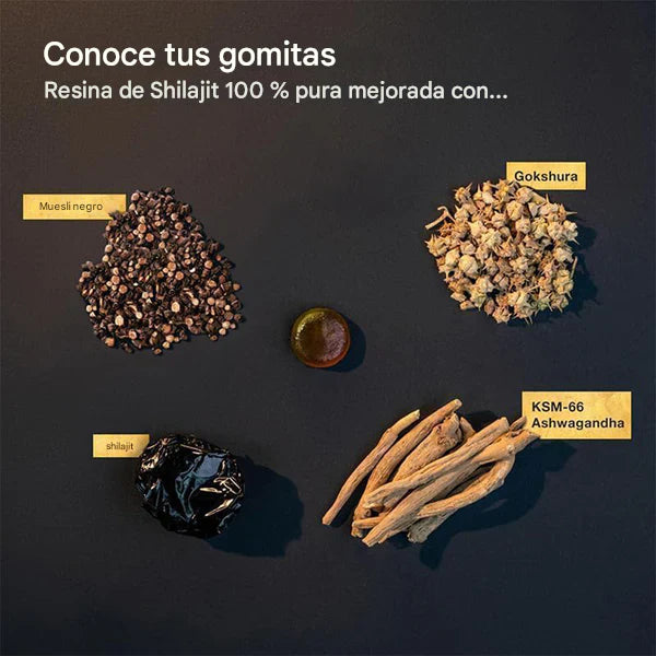 GOMITAS DE SHILAJIT - OFERTA POR ESTE MES🔥