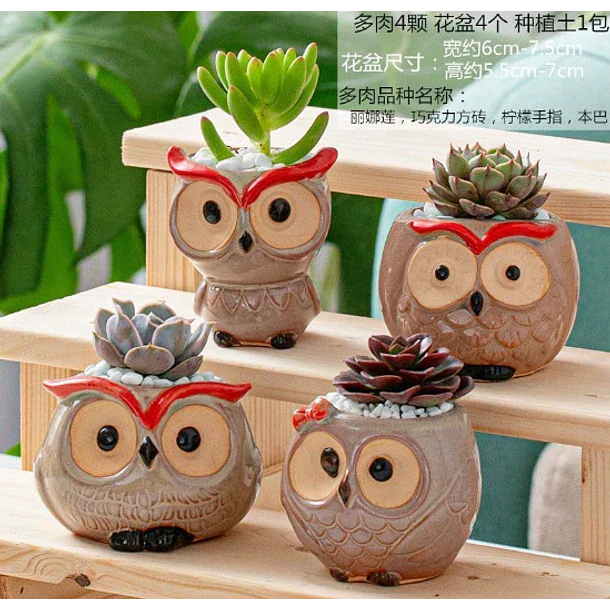 Macetero de buho de ceramica