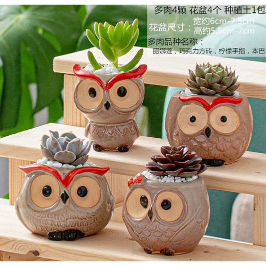 Macetero de buho de ceramica