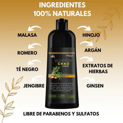 Shampoo Chao Canas – Cubre Canas + Tratamiento Activador GRATIS